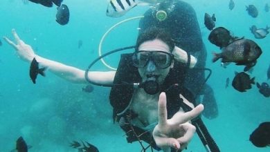 Định vị Việt Nam là điểm đến hàng đầu Đông Nam Á Định vị Việt Nam là điểm đến hàng đầu Đông Nam Á