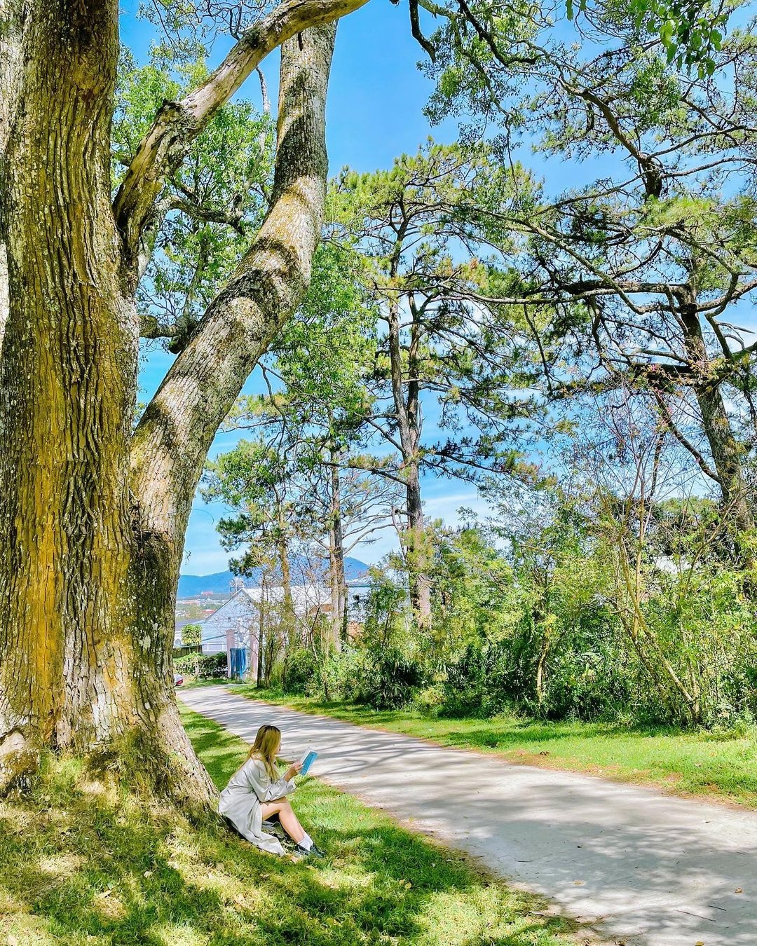 Điểm đến thiên nhiên lên ngôi tại Đà Lạt Điểm đến thiên nhiên lên ngôi tại Đà Lạt