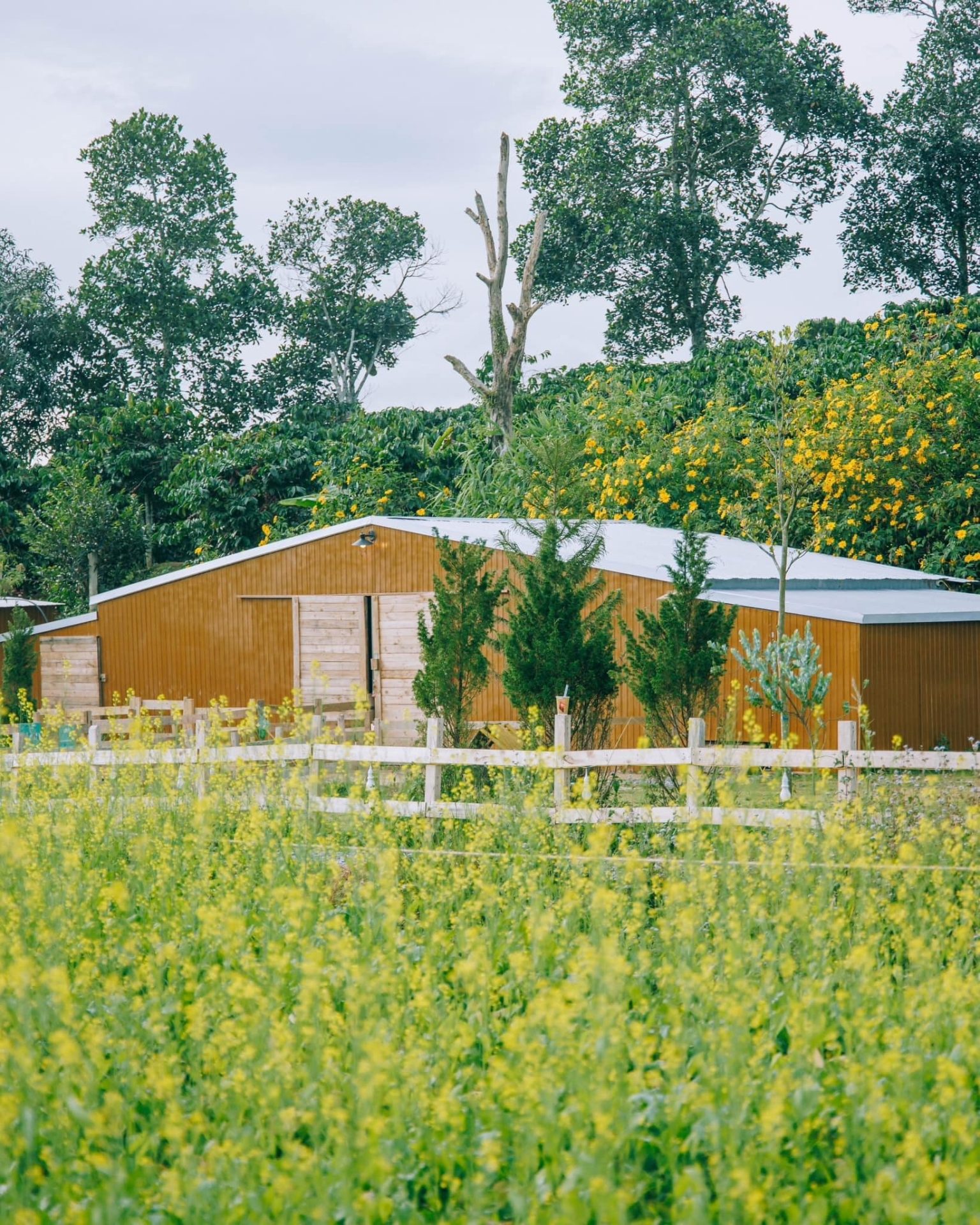 Điểm đến thiên nhiên lên ngôi tại Đà Lạt Điểm đến thiên nhiên lên ngôi tại Đà Lạt