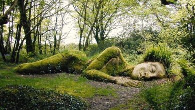 Khu vườn bị thất lạc của nước Anh