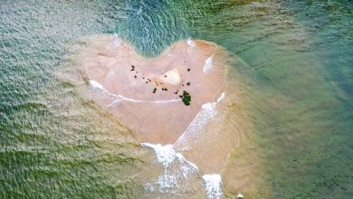 Cồn cát hình trái tim bên chân cầu Cổ Lũy