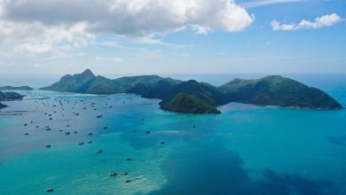 Tìm về thiên nhiên ở Côn Đảo Tìm về thiên nhiên ở Côn Đảo