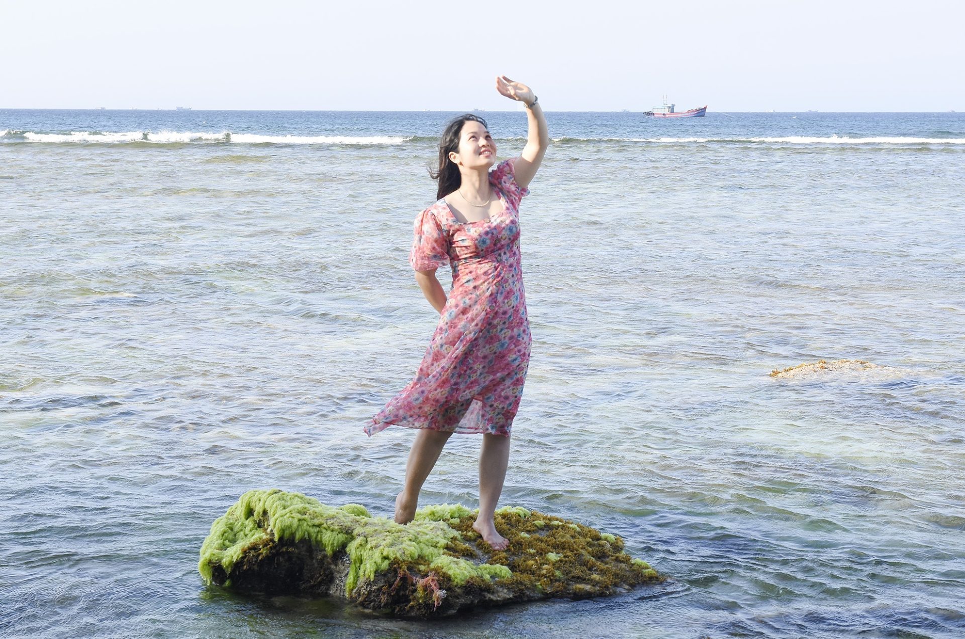 Thảm rêu xanh ở Lý Sơn