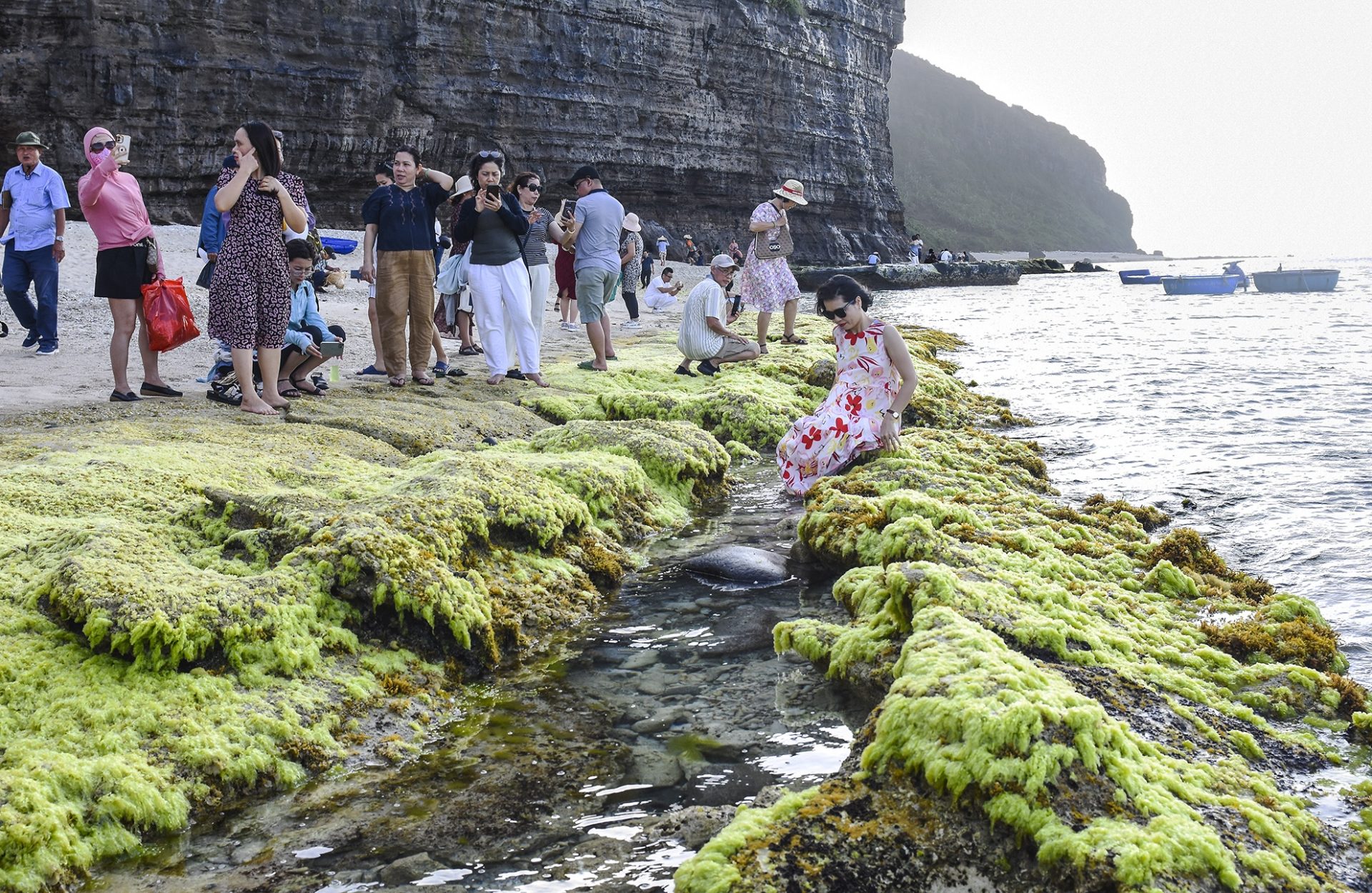 Thảm rêu xanh ở Lý Sơn