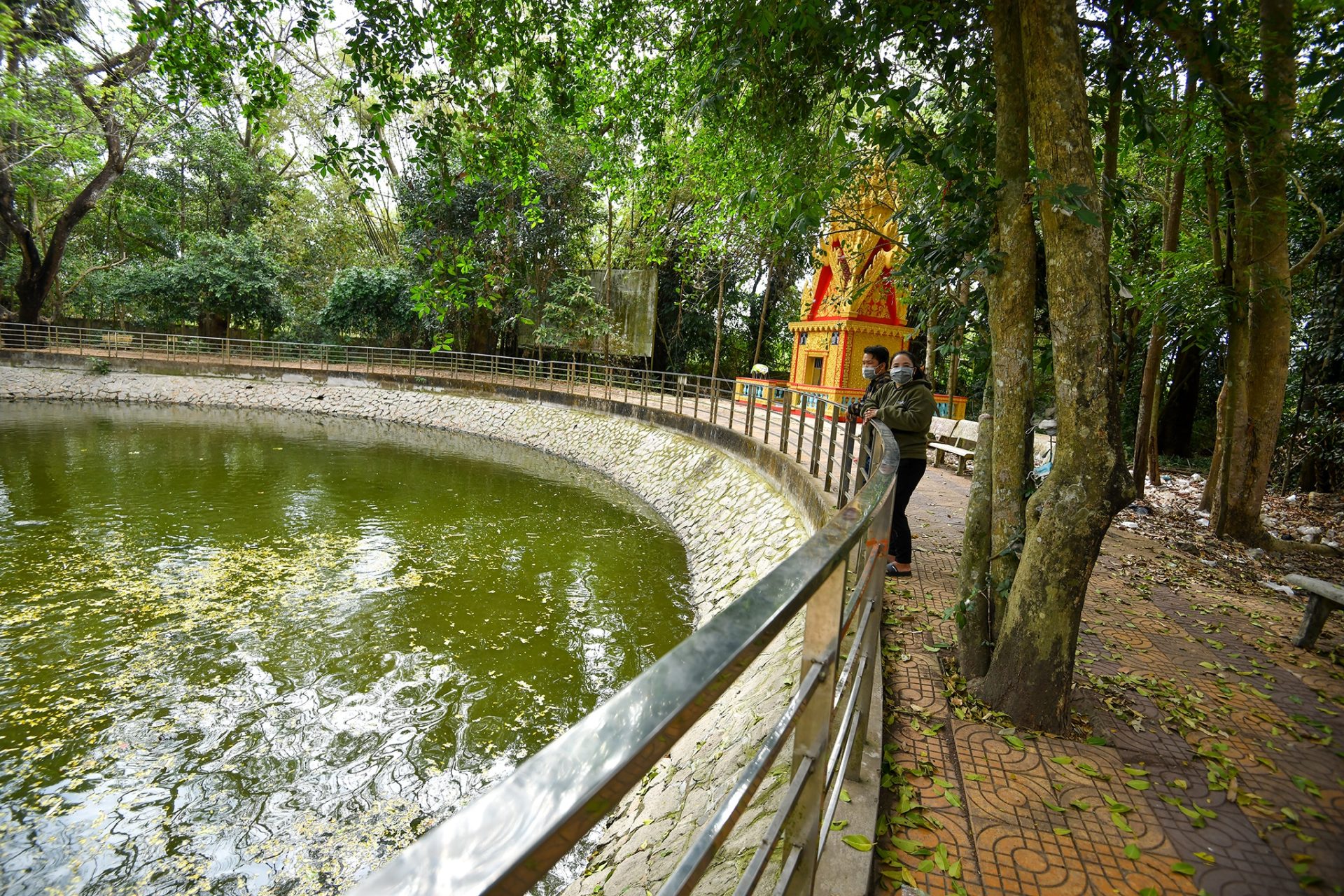 Ngôi chùa hơn 400 tuổi có hàng nghìn con dơi ở miền Tây