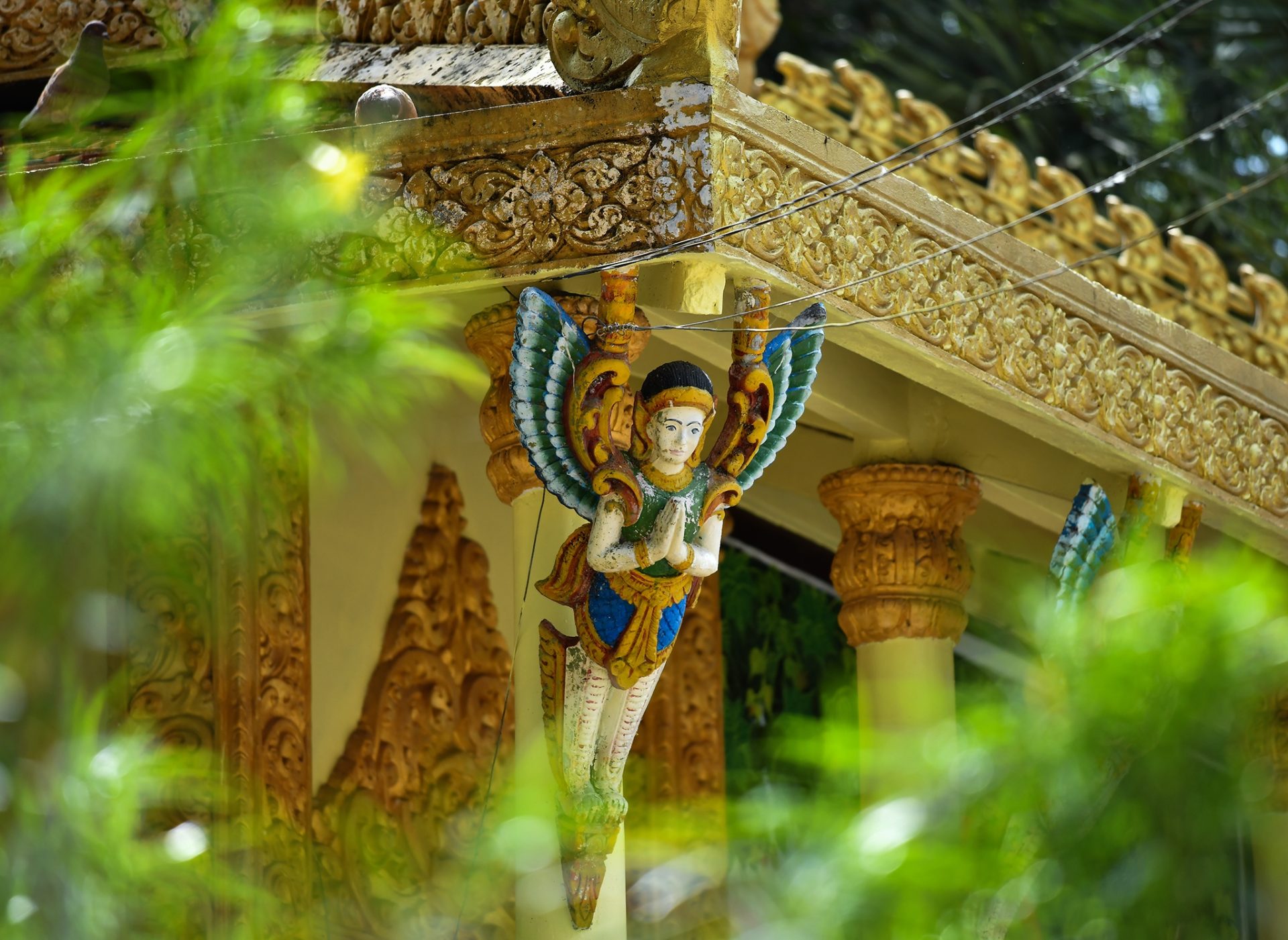 Ngôi chùa hơn 400 tuổi có hàng nghìn con dơi ở miền Tây