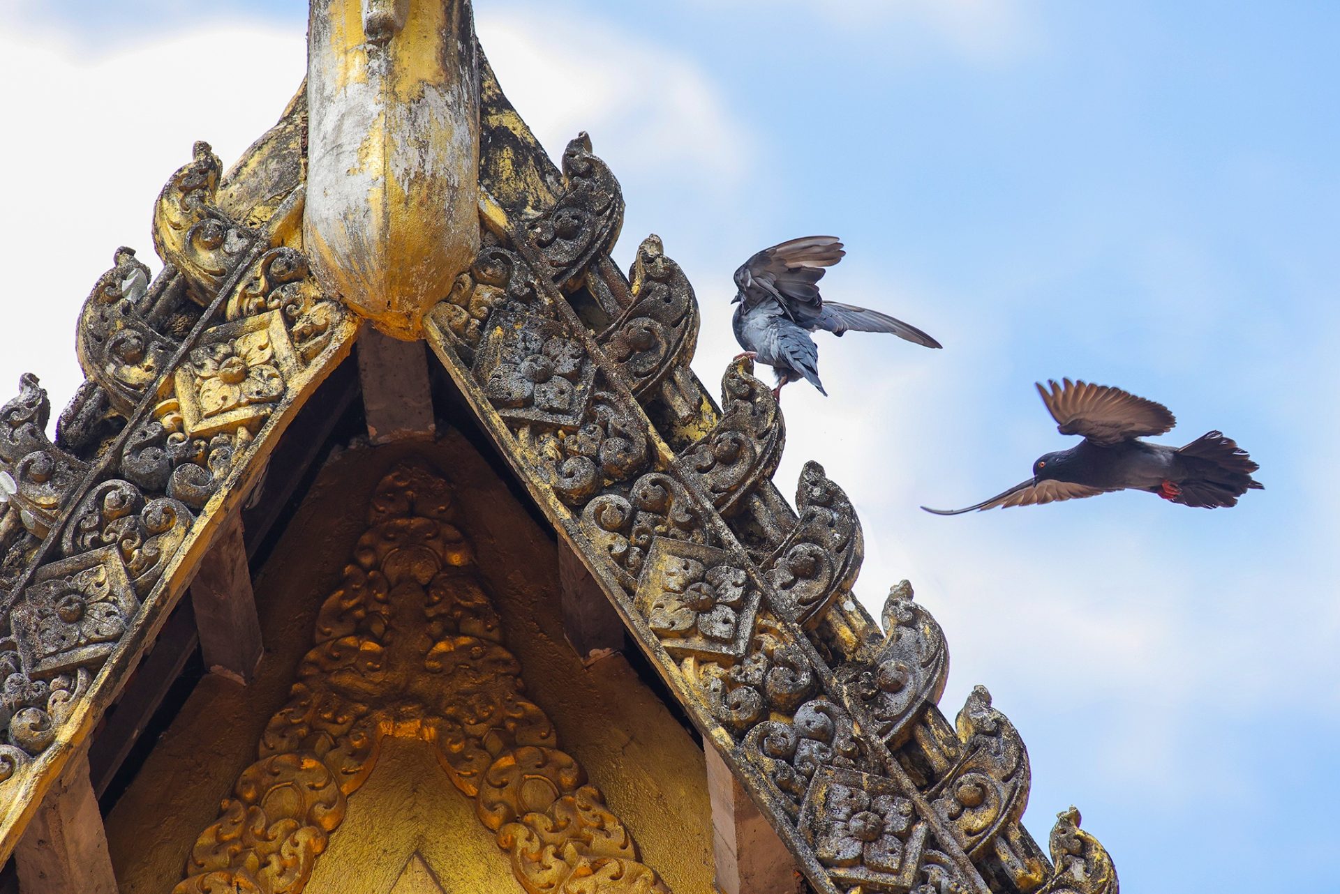 Ngôi chùa hơn 400 tuổi có hàng nghìn con dơi ở miền Tây