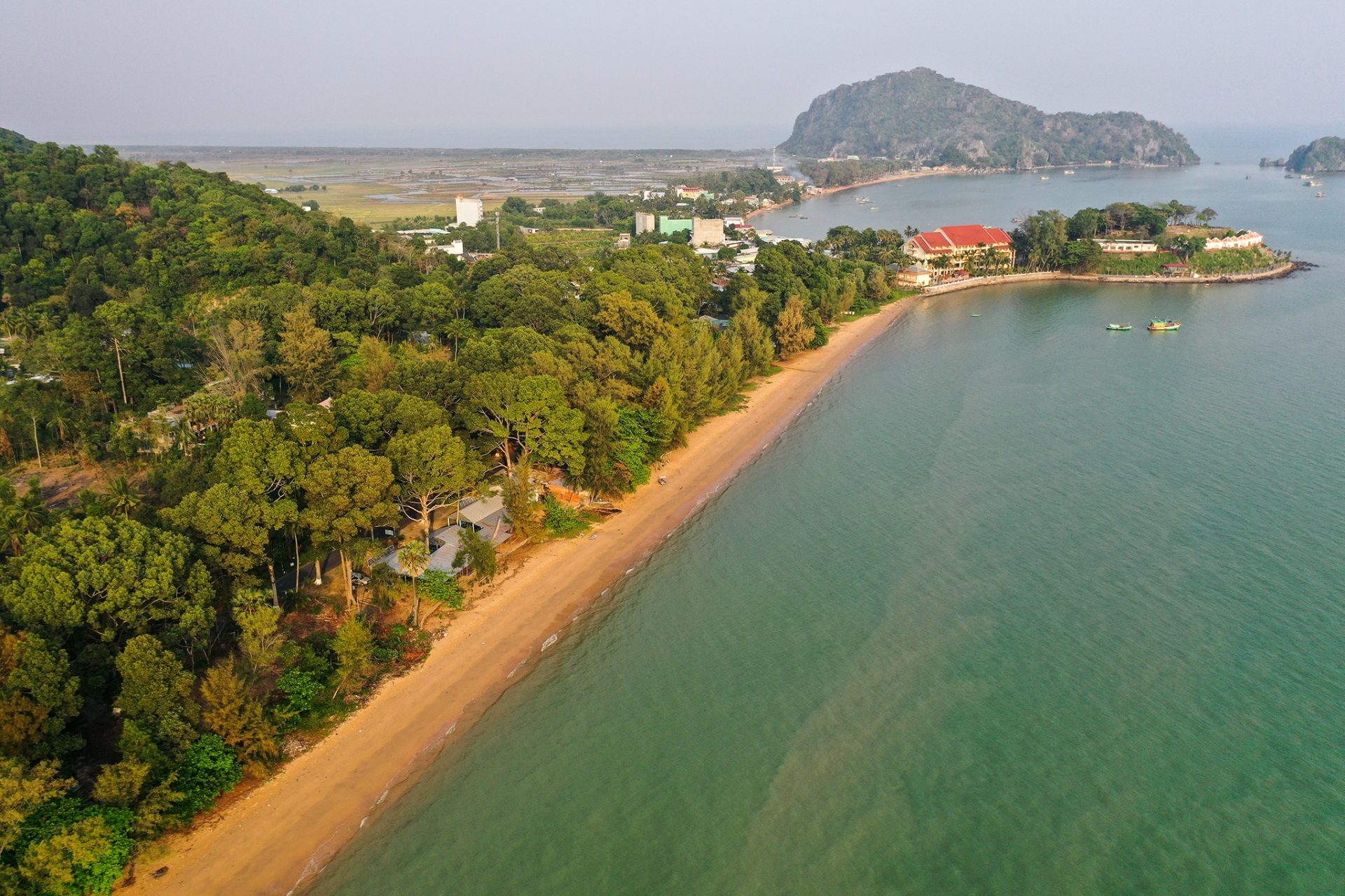 Cung đường rợp bóng cây dầu trăm tuổi ở Kiên Giang