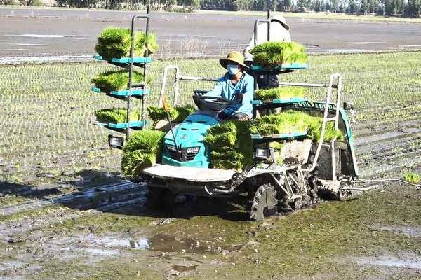 Ứng dụng công nghệ AI trong nâng cao năng suất nông nghiệp Ứng dụng công nghệ AI trong nâng cao năng suất nông nghiệp