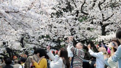 Chính sách visa du lịch Nhật Bản, Hàn Quốc, Đài Loan Chính sách visa du lịch Nhật Bản, Hàn Quốc, Đài Loan