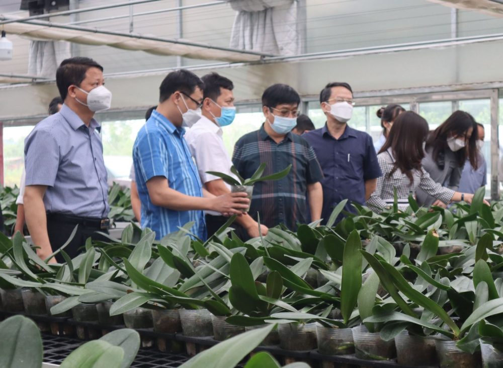 MÊ LINH PHÁT TRIỂN NÔNG NGHIỆP GẮN VỚI XÂY DỰNG NÔNG THÔN MỚI