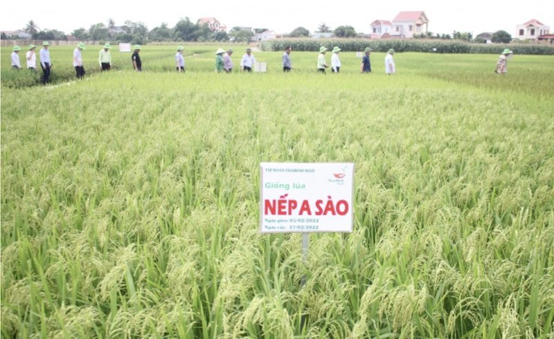 Luật Đất đai sửa đổi: “Cởi trói” đất đai cho các Viện nghiên cứu