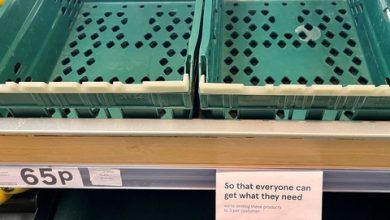 Khủng hoảng salad do thiếu rau ở Anh Khủng hoảng salad do thiếu rau ở Anh