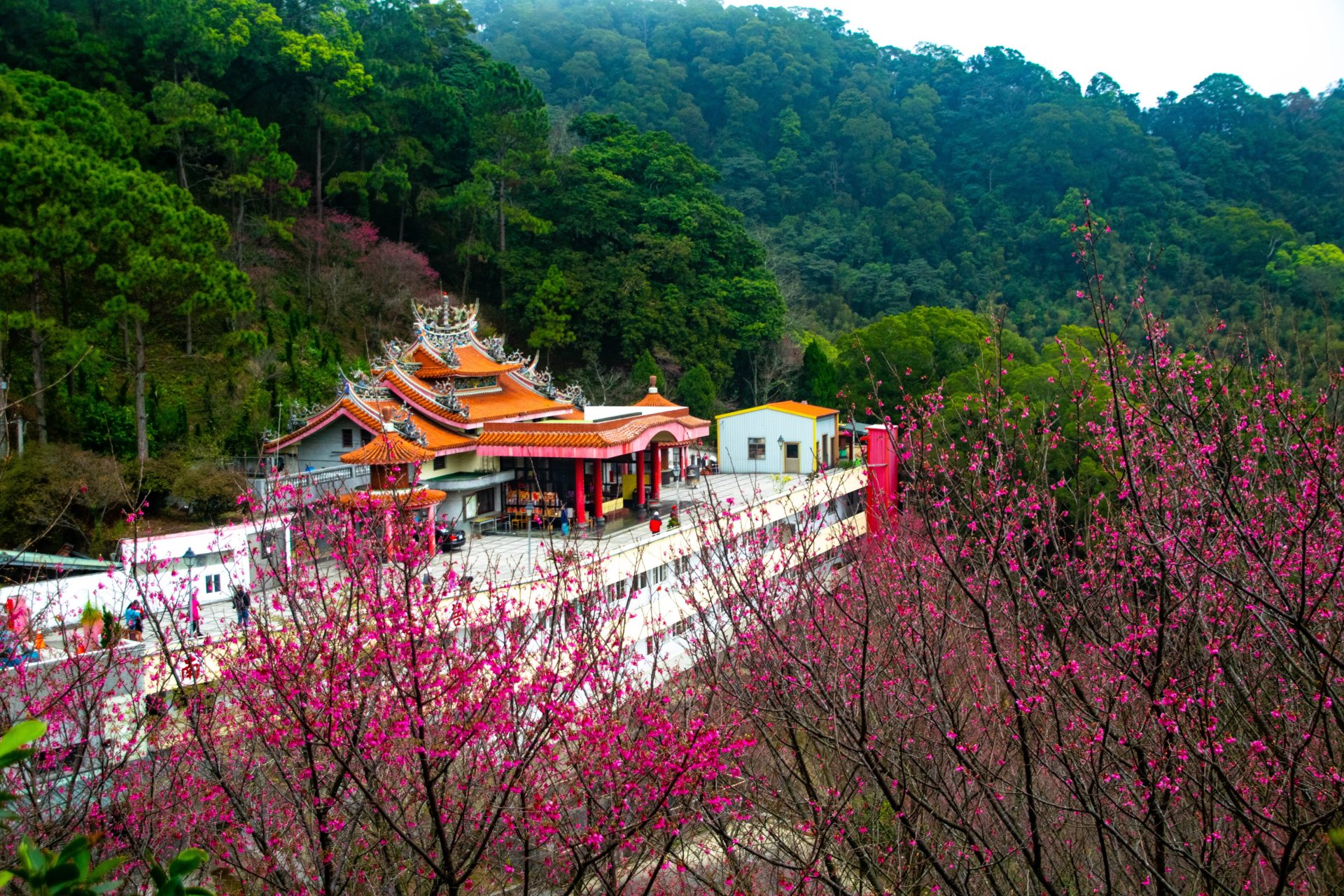 Chính sách visa du lịch Nhật Bản, Hàn Quốc, Đài Loan Chính sách visa du lịch Nhật Bản, Hàn Quốc, Đài Loan