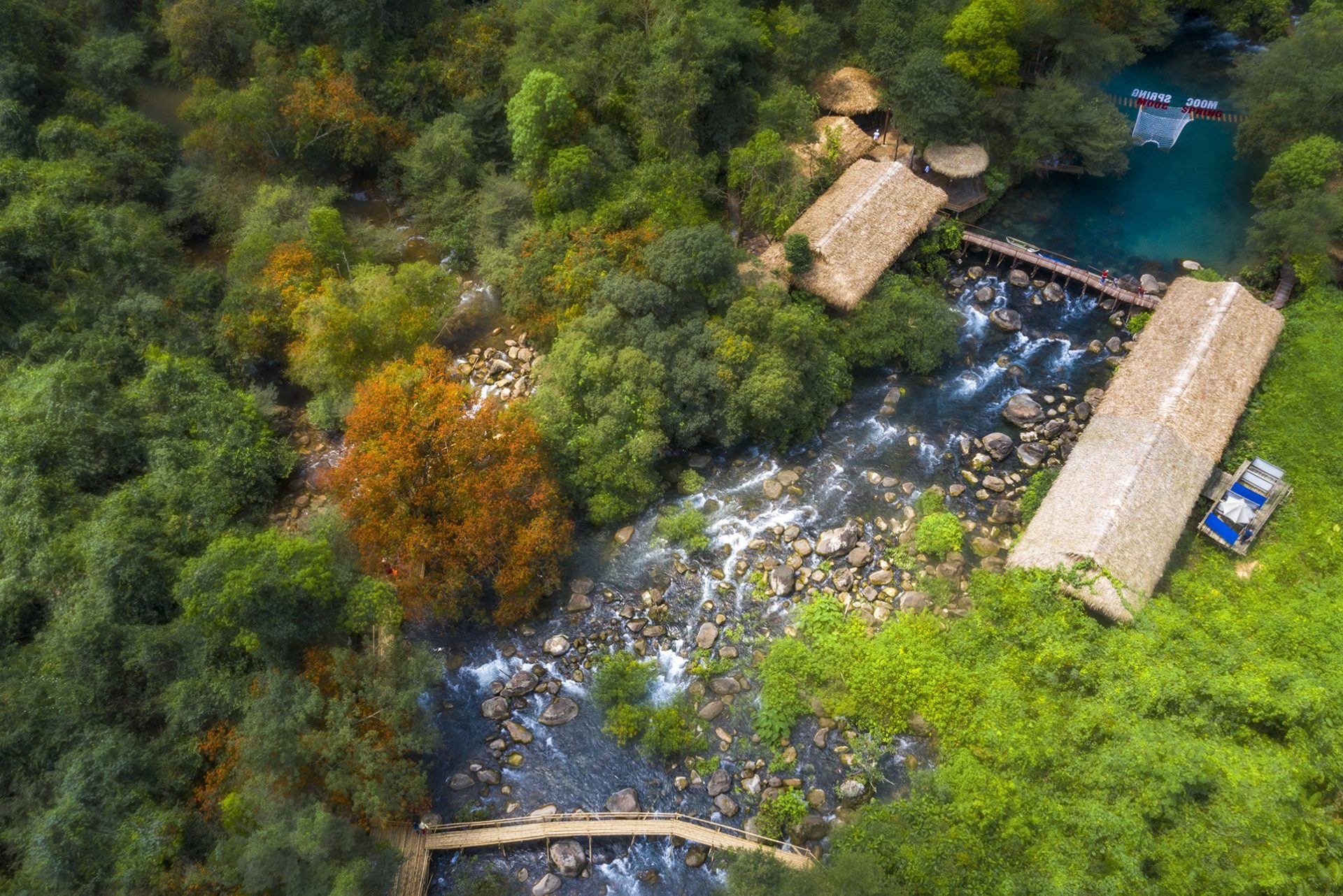 Hoa vàng anh khoe sắc ở vườn quốc gia Phong Nha - Kẻ Bàng Hoa vàng anh khoe sắc ở vườn quốc gia Phong Nha - Kẻ Bàng