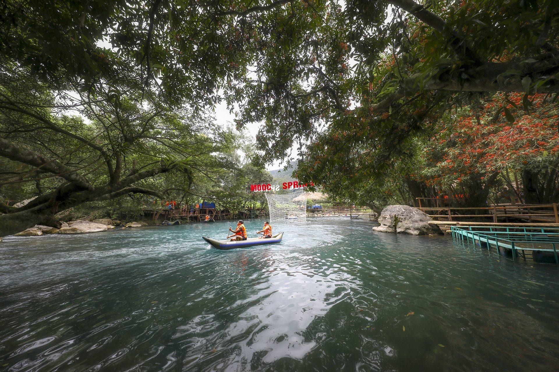 Hoa vàng anh khoe sắc ở vườn quốc gia Phong Nha - Kẻ Bàng Hoa vàng anh khoe sắc ở vườn quốc gia Phong Nha - Kẻ Bàng