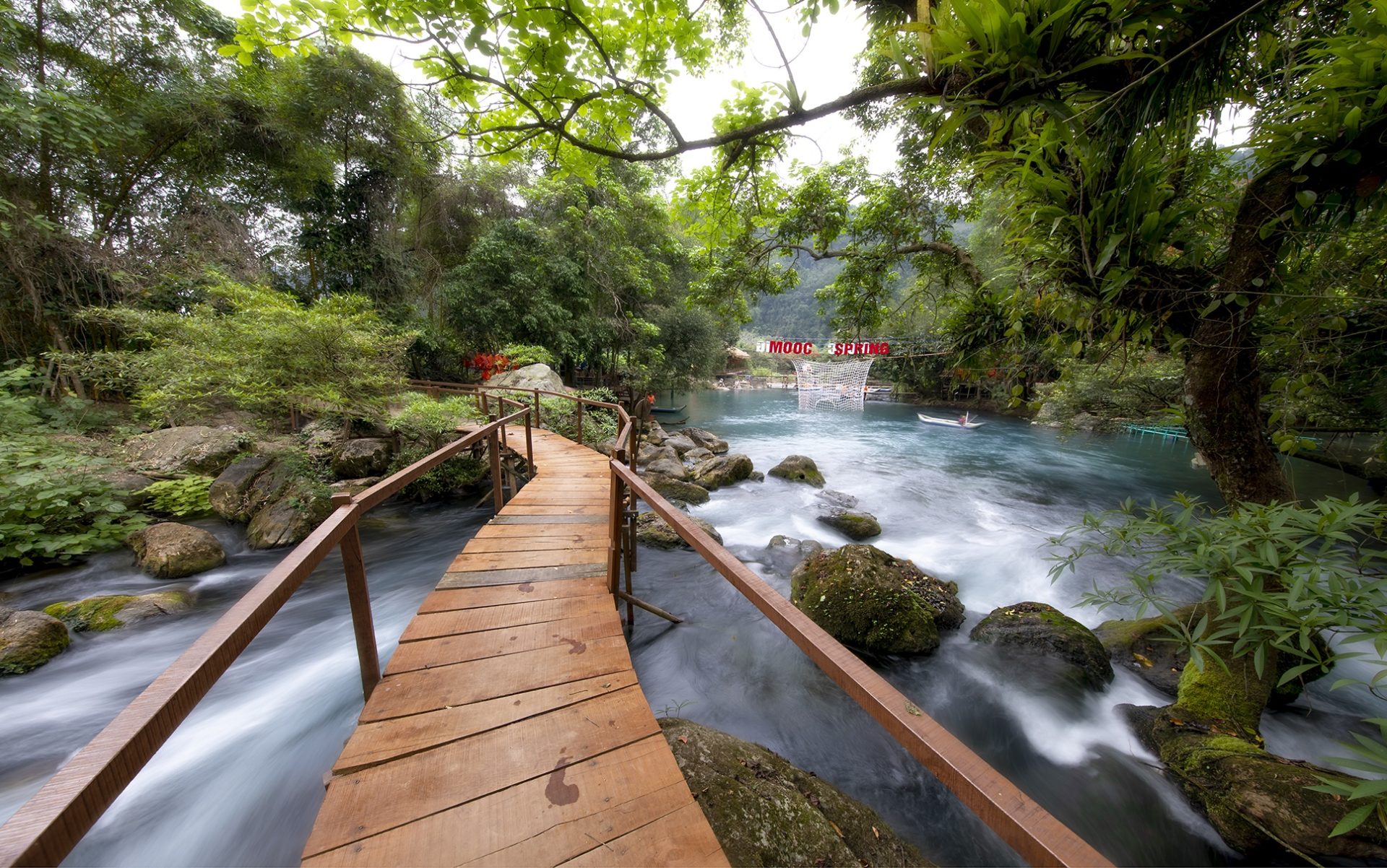 Hoa vàng anh khoe sắc ở vườn quốc gia Phong Nha - Kẻ Bàng Hoa vàng anh khoe sắc ở vườn quốc gia Phong Nha - Kẻ Bàng