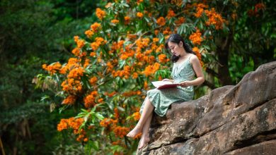 Hoa vàng anh khoe sắc ở vườn quốc gia Phong Nha - Kẻ Bàng Hoa vàng anh khoe sắc ở vườn quốc gia Phong Nha - Kẻ Bàng