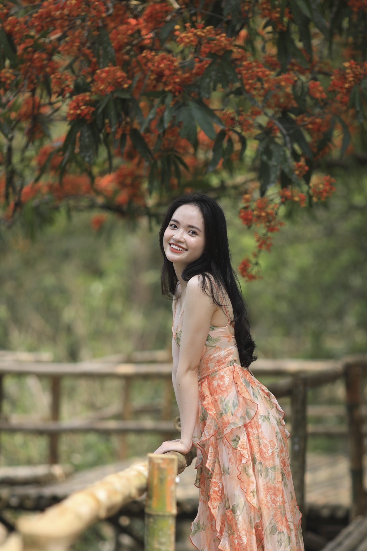 Hoa vàng anh khoe sắc ở vườn quốc gia Phong Nha - Kẻ Bàng Hoa vàng anh khoe sắc ở vườn quốc gia Phong Nha - Kẻ Bàng