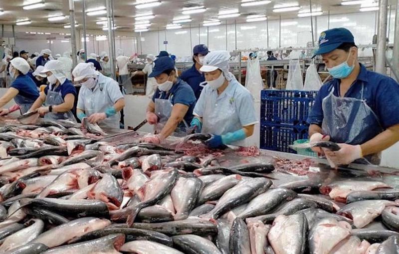 “Soán ngôi” Mỹ, Trung Quốc trở thành thị trường xuất khẩu nông sản lớn nhất của Việt Nam