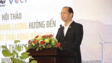 Năng lượng tái tạo xanh, xu hướng tất yếu giúp đảm bảo một nền kinh tế bền vững