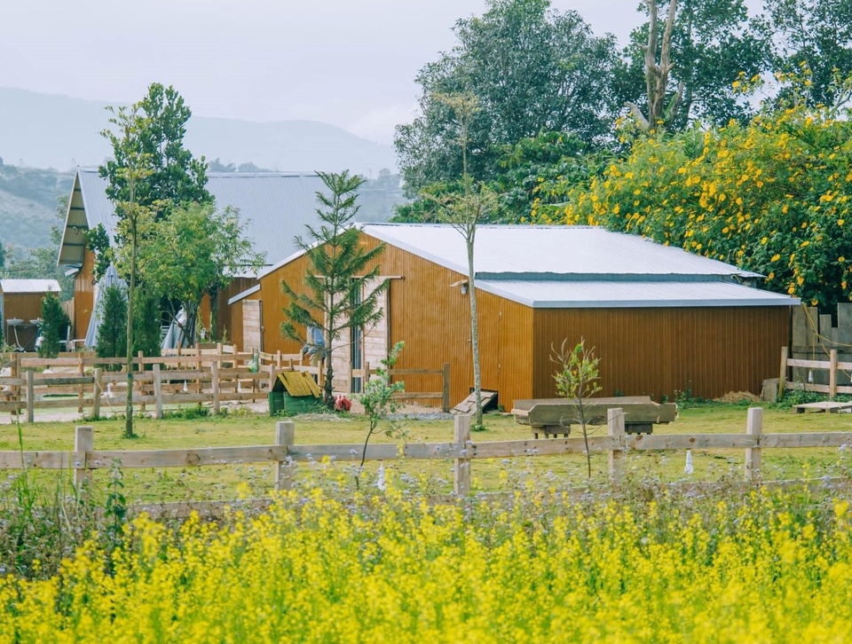 Điểm đến thiên nhiên lên ngôi tại Đà Lạt Điểm đến thiên nhiên lên ngôi tại Đà Lạt