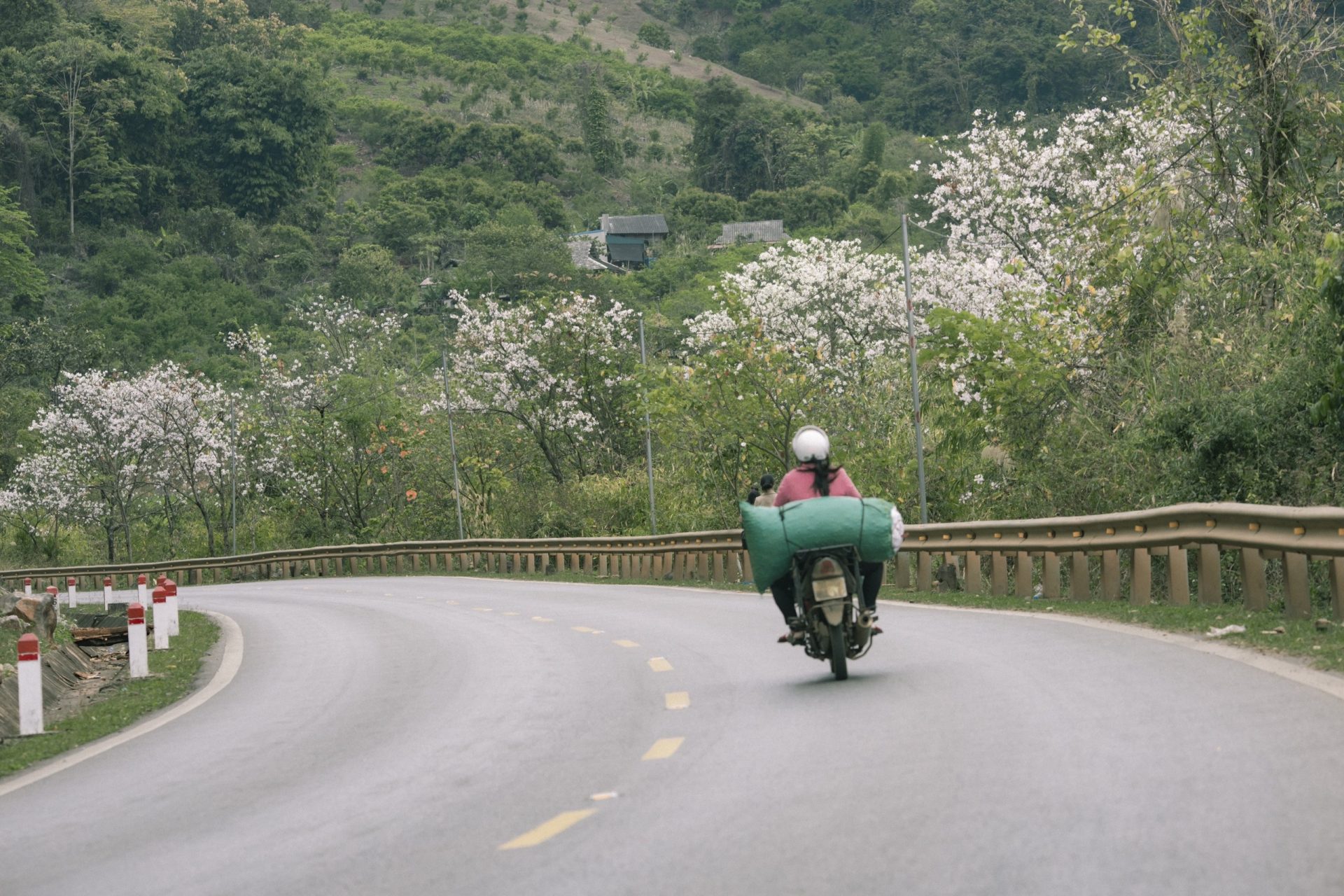 Mùa hoa ban ở Mộc Châu