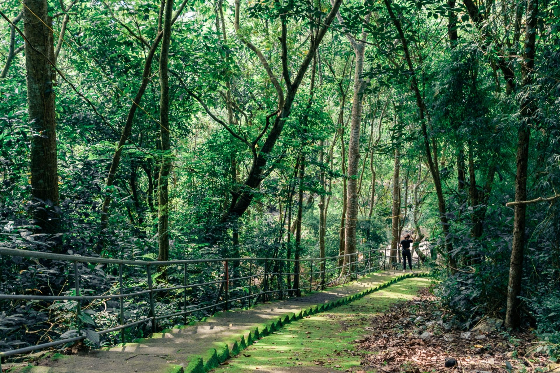Điểm đến thiên nhiên tránh đông đúc trên núi Dinh Điểm đến thiên nhiên tránh đông đúc trên núi Dinh
