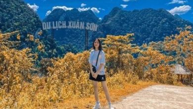 Kinh nghiệm du lịch đất Tổ Phú Thọ Kinh nghiệm du lịch đất Tổ Phú Thọ