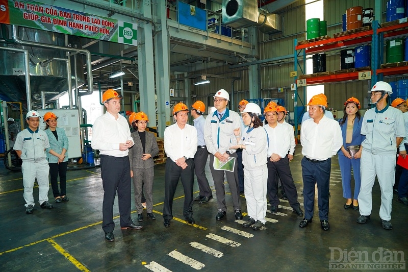 Hải Phòng: Tạo điều kiện để DEEP C phát triển thêm các KCN mới Hải Phòng: Tạo điều kiện để DEEP C phát triển thêm các KCN mới