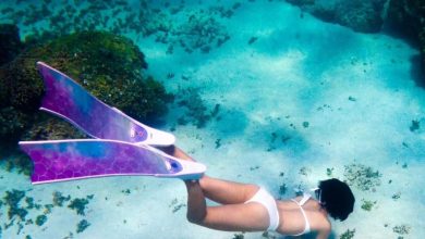 Kinh nghiệm du lịch đảo Phú Quý tự túc