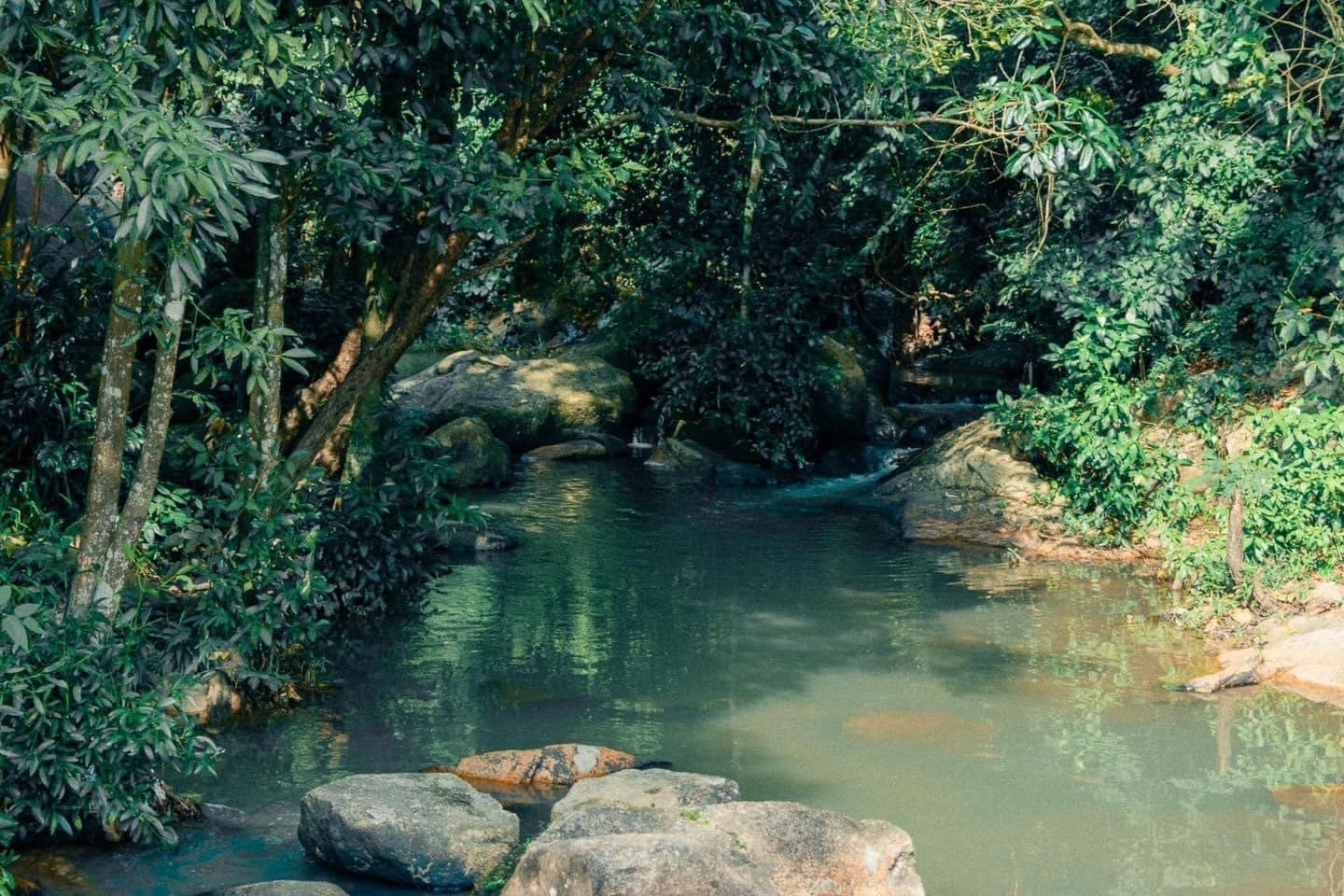 Điểm đến thiên nhiên tránh đông đúc trên núi Dinh Điểm đến thiên nhiên tránh đông đúc trên núi Dinh