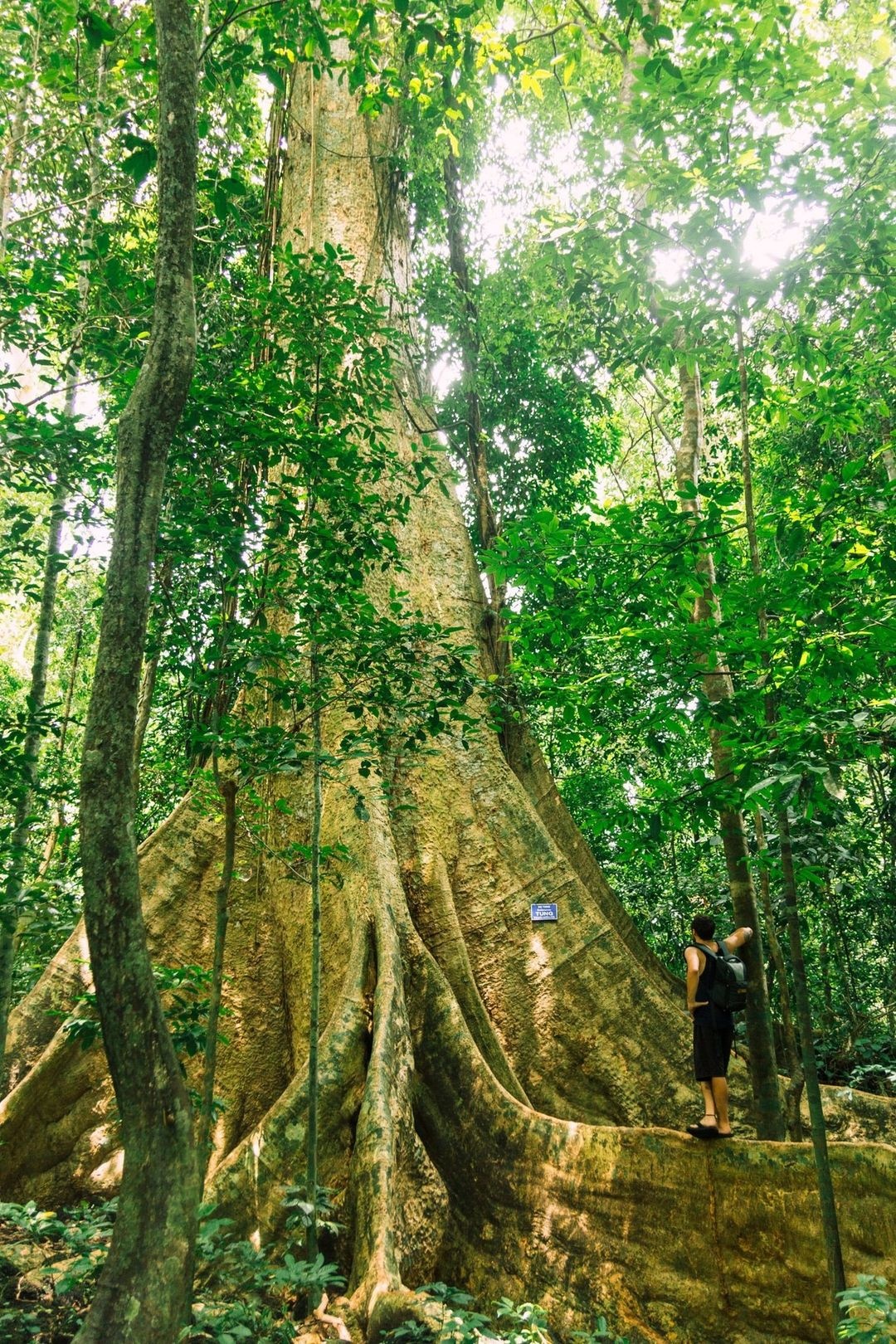 4 khu rừng nhiệt đới gần TP.HCM cho kỳ nghỉ lễ