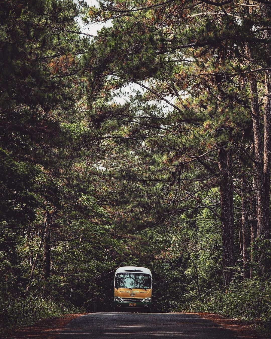 5 điểm du lịch trốn nóng cho dịp 30/4