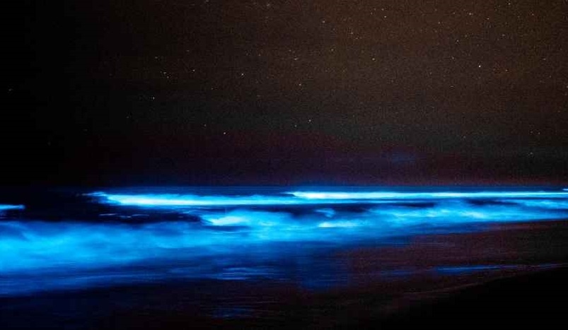 5 bãi biển rực sáng về đêm