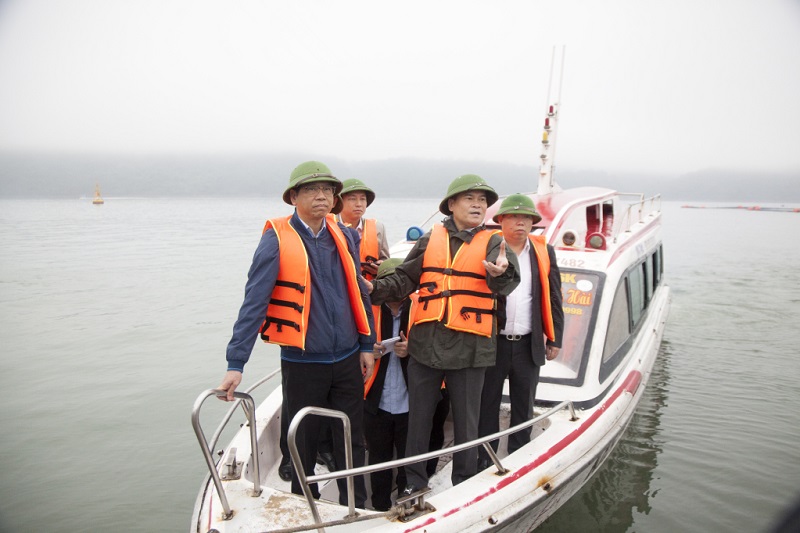 Tổng Công ty Tân Cảng Sài Gòn tìm hiểu đầu tư các dự án logistics tại TP Móng Cái