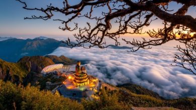 Phát triển du lịch Việt Nam - di sản và thiên nhiên là chưa đủ Phát triển du lịch Việt Nam - di sản và thiên nhiên là chưa đủ