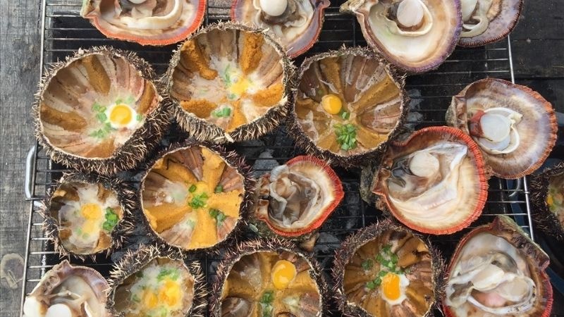 Kinh nghiệm du lịch đảo Phú Quý tự túc Kinh nghiệm du lịch đảo Phú Quý tự túc