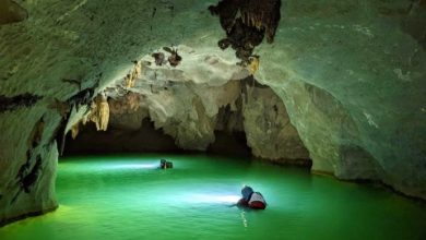 22 hang động mới được phát hiện ở Quảng Bình 22 hang động mới được phát hiện ở Quảng Bình