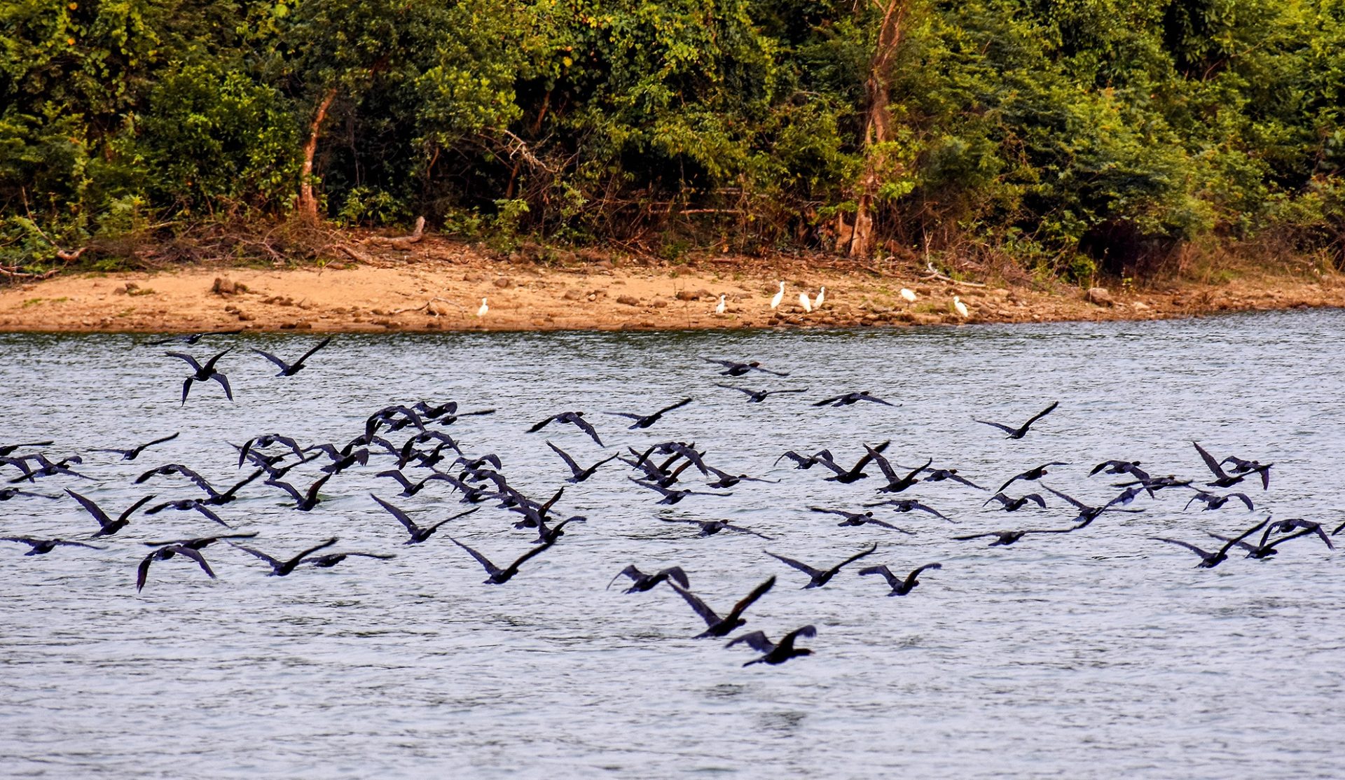 Hoàng hôn huyền ảo trên hồ nước ngọt giữa rừng Quảng Ngãi