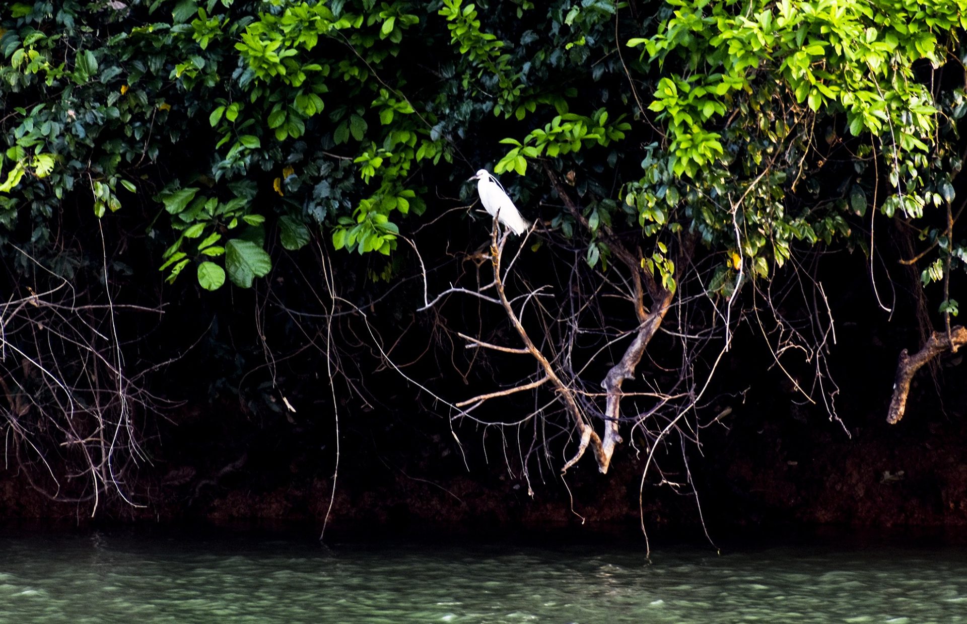 Hoàng hôn huyền ảo trên hồ nước ngọt giữa rừng Quảng Ngãi