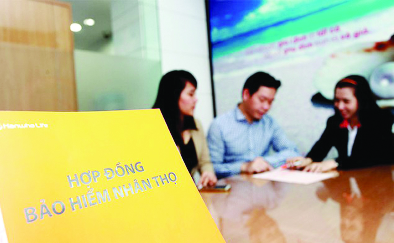 Lá chắn bảo hiểm Lá chắn bảo hiểm