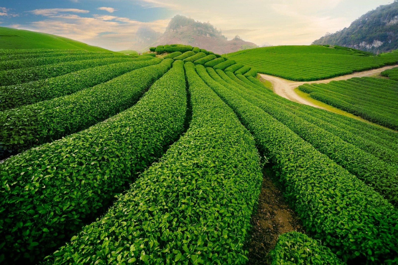Kinh nghiệm du lịch đất Tổ Phú Thọ