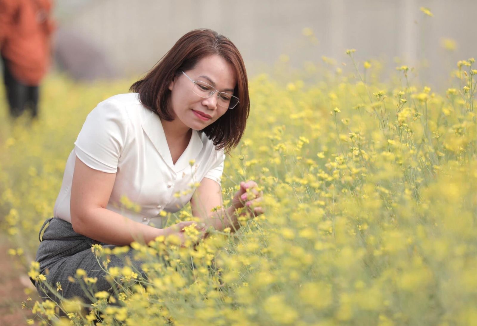 HNH food farm: Sạch từ nông trại đến bàn ăn HNH food farm: Sạch từ nông trại đến bàn ăn