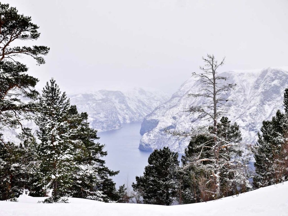 Chuyến phiêu lưu mùa đông ở Na Uy Chuyến phiêu lưu mùa đông ở Na Uy