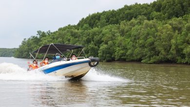 Một ngày vi vu 'ốc đảo xanh' Cần Giờ