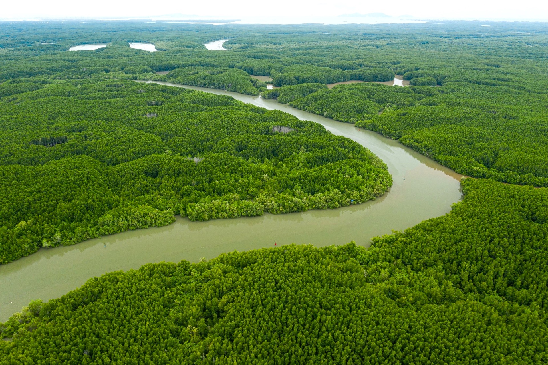 4 khu rừng nhiệt đới gần TP.HCM cho kỳ nghỉ lễ