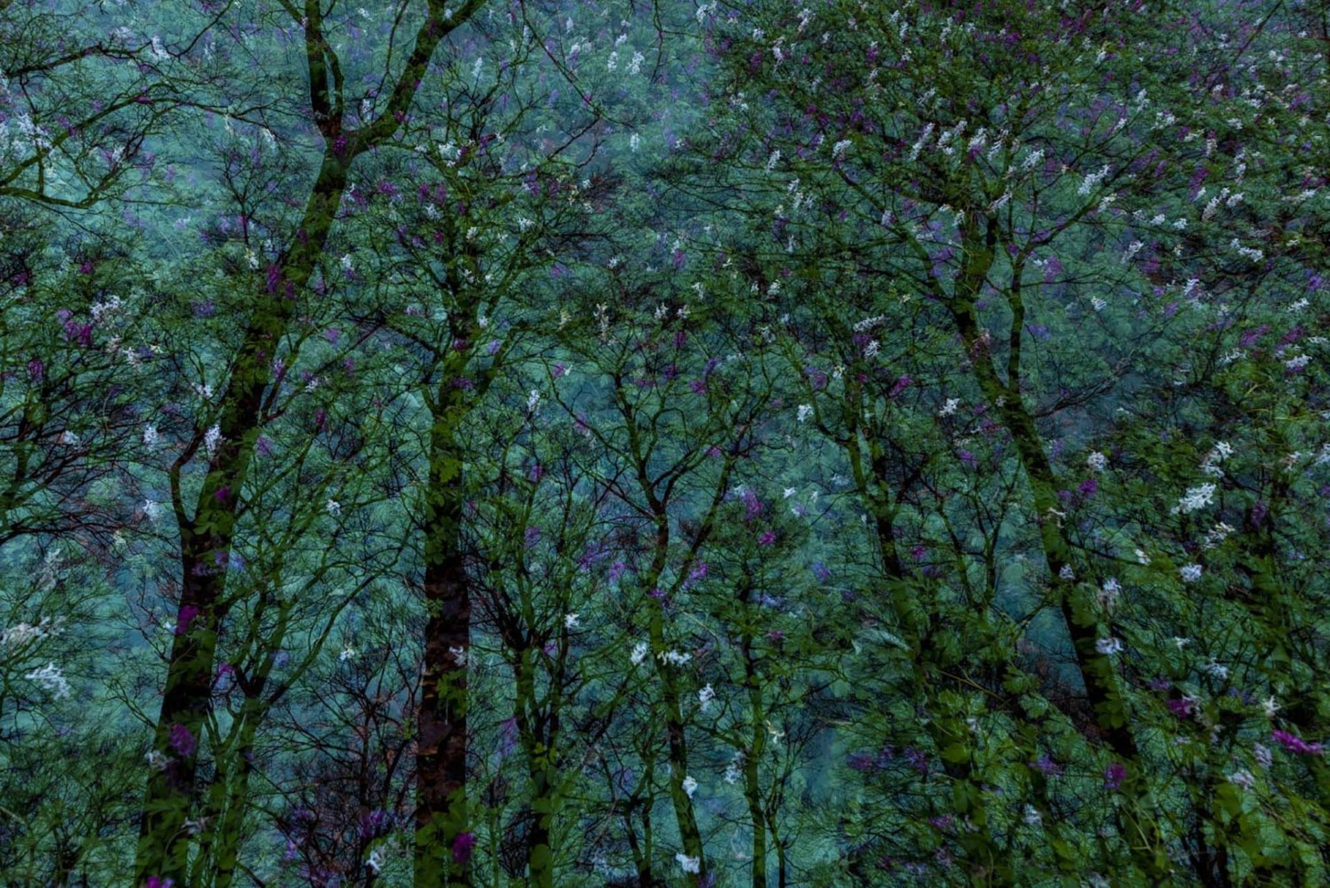 Tác phẩm thắng giải Nhiếp ảnh Thiên nhiên Đức 2023