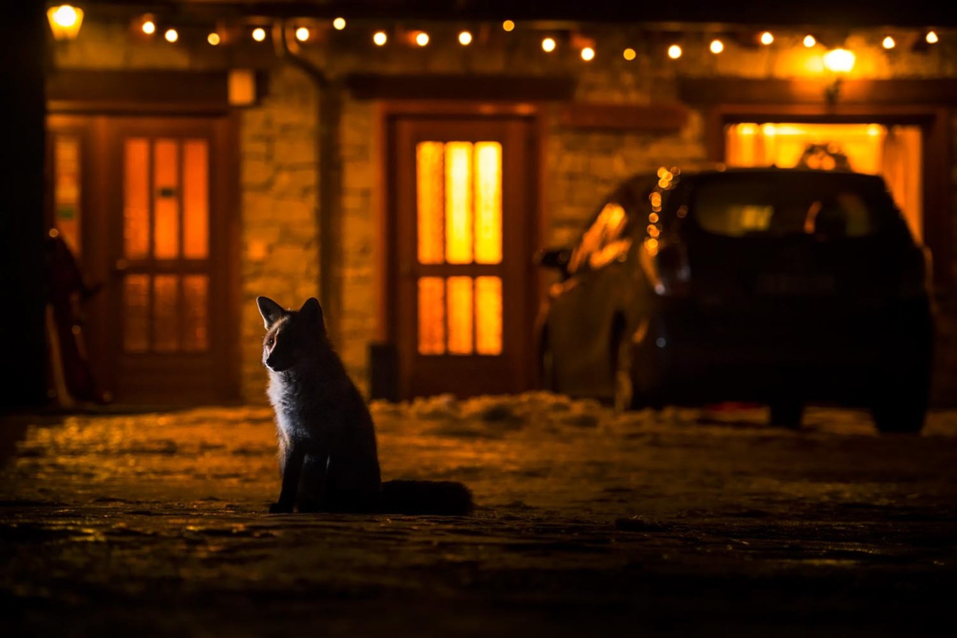 Tác phẩm thắng giải Nhiếp ảnh Thiên nhiên Đức 2023