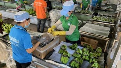 “Bước ngoặt” của HAG